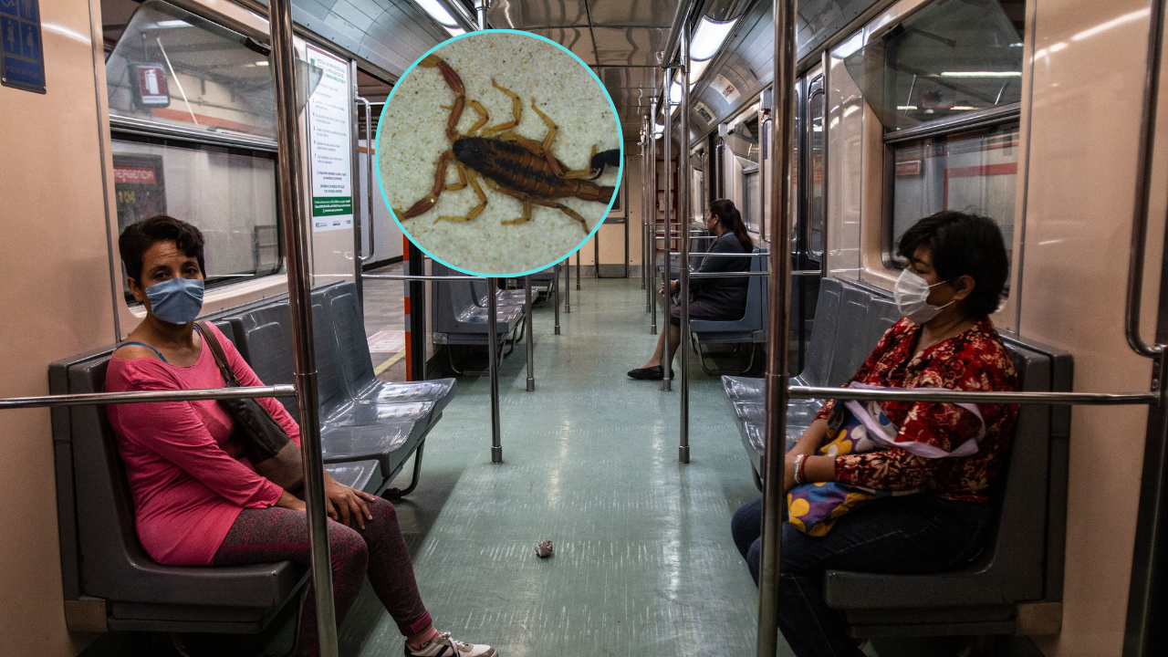 Una usuaria de la Línea 2 del Metro de la Ciudad de México fue picada por un alacrán.